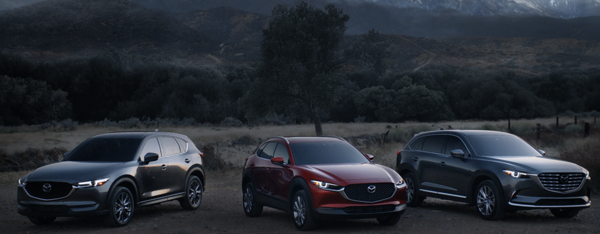 Mazda Sweeps the Insurance Institute for Highway Safety’s